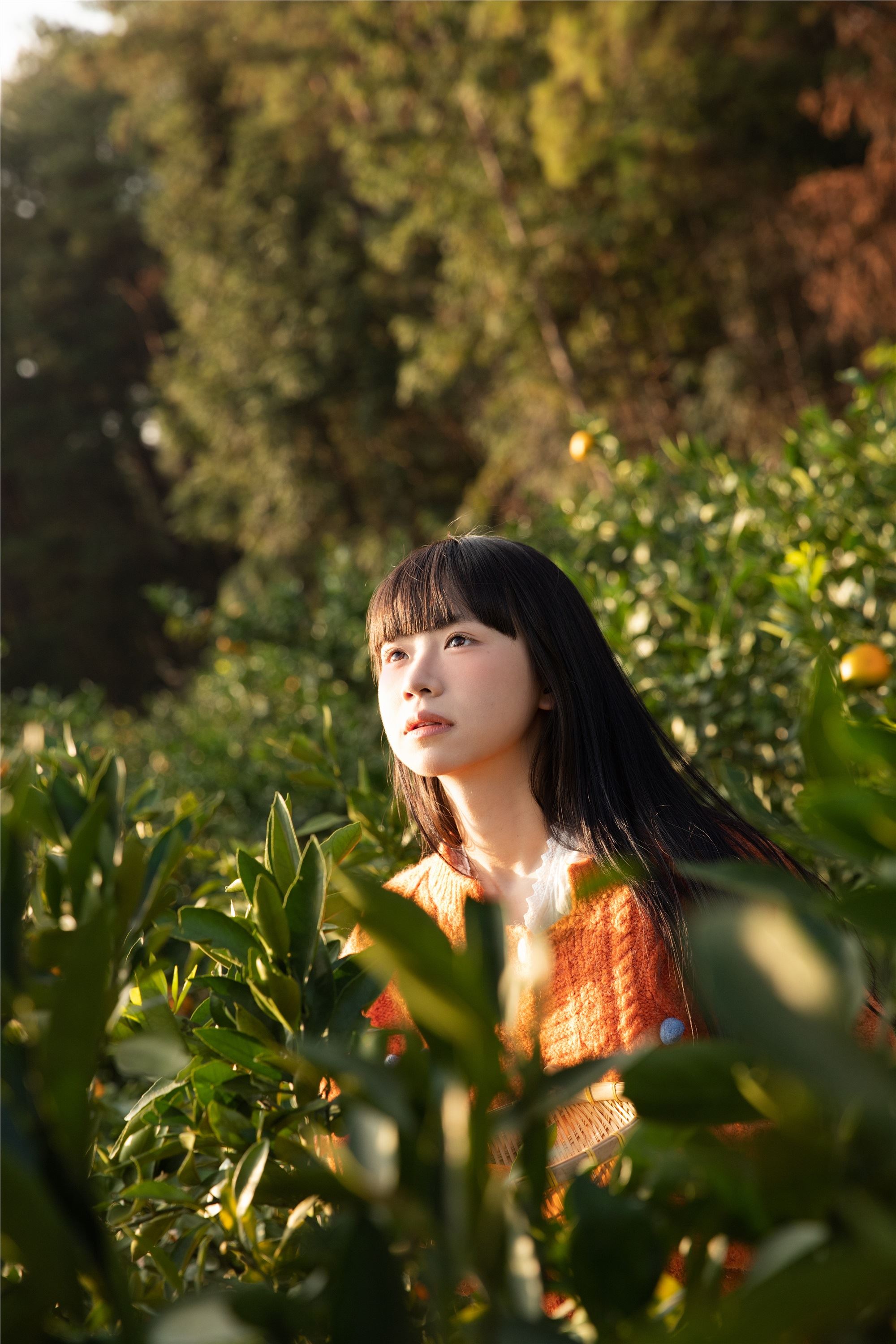 YITUYU艺图语 2025.02.03 橘子辉煌 是三金呀